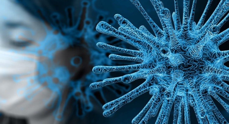 Immagine che raffigura Coronavirus: prodotti di cancelleria a domicilio