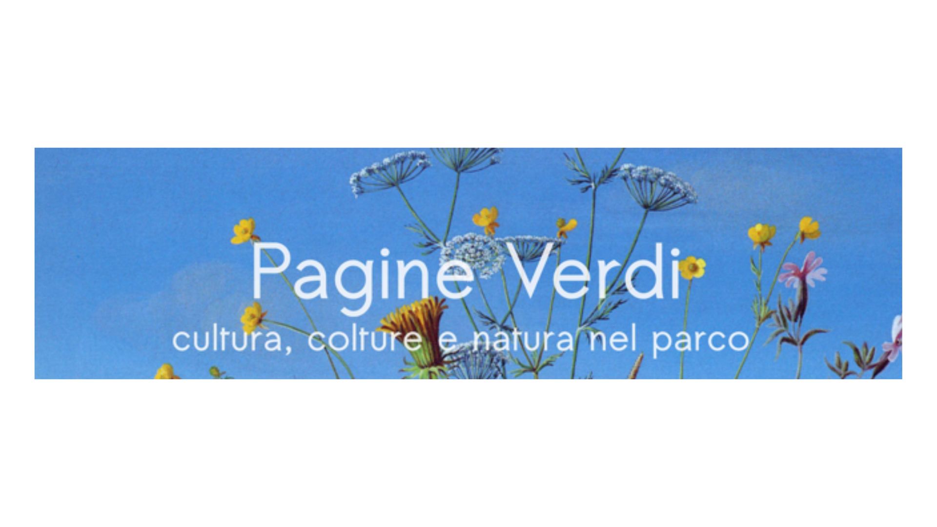 Immagine che raffigura Sono tornate le mezze stagioni? Antonio Russo racconta Rigoni Stern.
