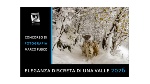 Concorso di fotografia Marina Fusco
